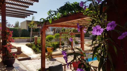 Hostal Terrasses Vertes
