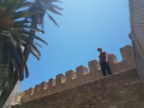 Apartamento Aghata Palms Riad
