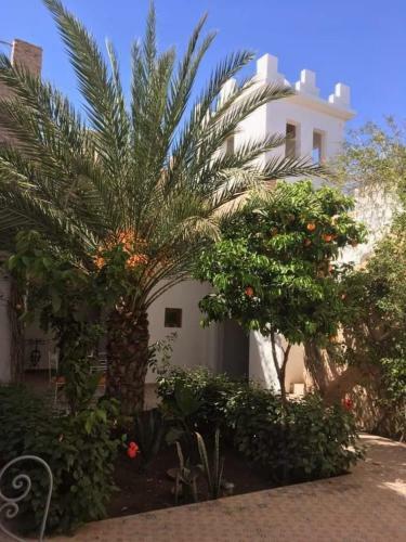 Bed & Breakfast Chateau D'orient