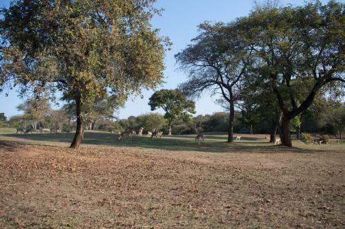 Kruger Park Lodge Unit 245
