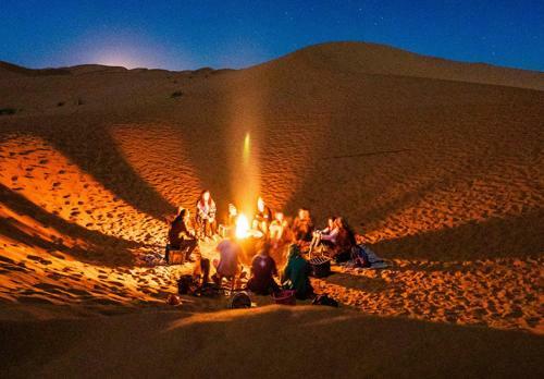 Nights Desert Camp