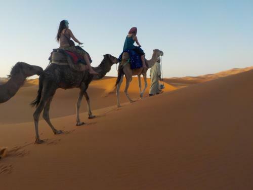 Camel Trek Bivouac