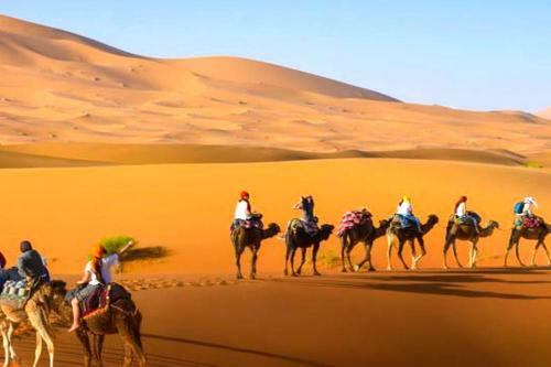 Desert Overnight Trips