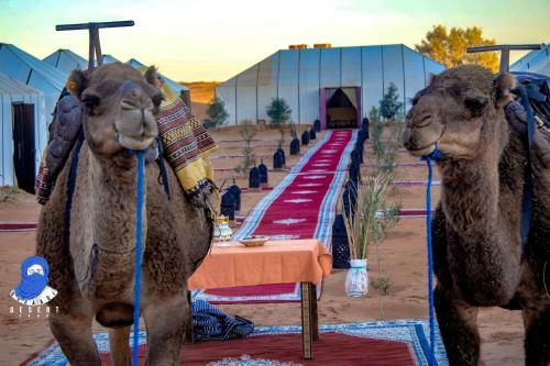 Ousaadi Desert Camp