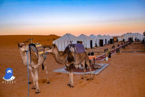 Ousaadi Desert Camp