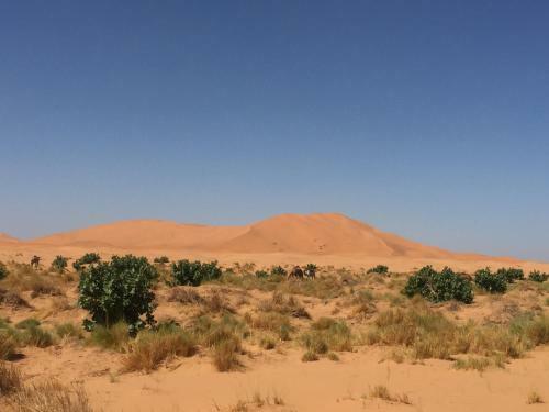 Desert Queen Camp ( Typical Luxury)