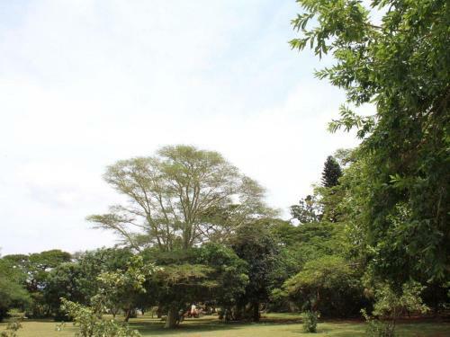 Apartamento Sandforest Cottages