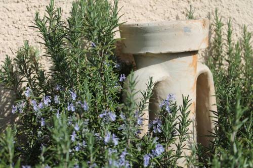 Bed And Breakfast Il Mirtillo
