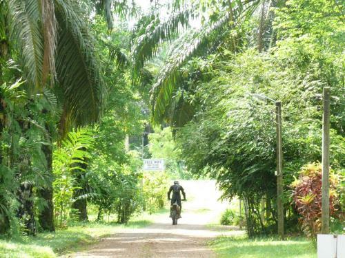 Albergue Suan Bang Bon, B&B - Inn