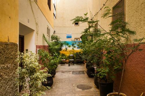 Bed & Breakfast Dar Berrada