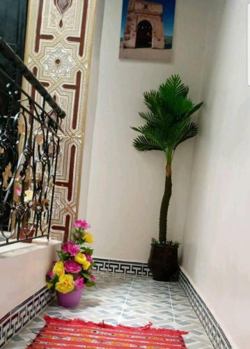 Dar Salam Fes Medina