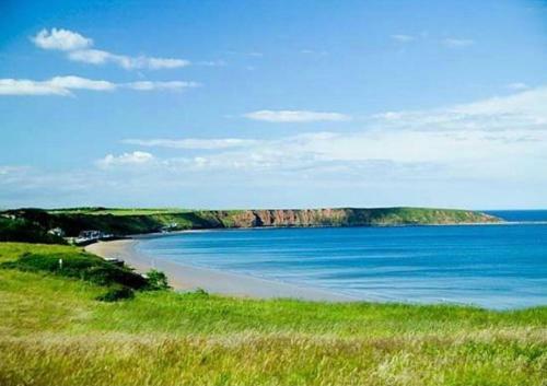The Bay, Filey, Moonshine Cottage
