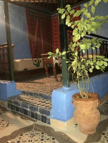 Hostal Dar Rihanne