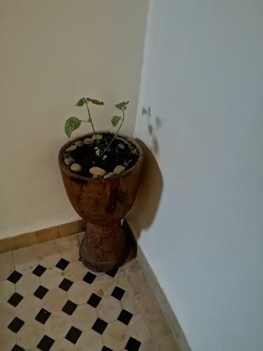 Apartamento Appartement Khmissa