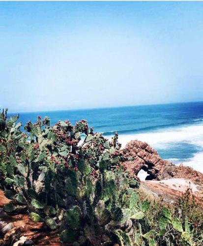 Apartamento Vue Sur Mer