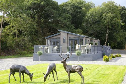 Lodge Loch Ness Highland Resort