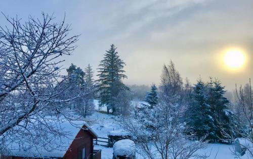 Hill Cottage Cabins