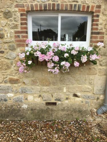 Bed & Breakfast Stroud House