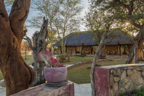 Thornhill Guest House