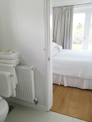 Apartamento Maes Hyfryd