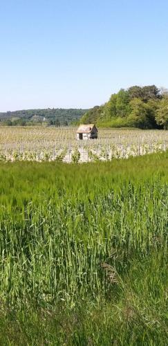 Bed & Breakfast Le Clos De La Chesneraie