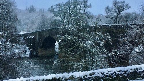 Yairbrig Holiday