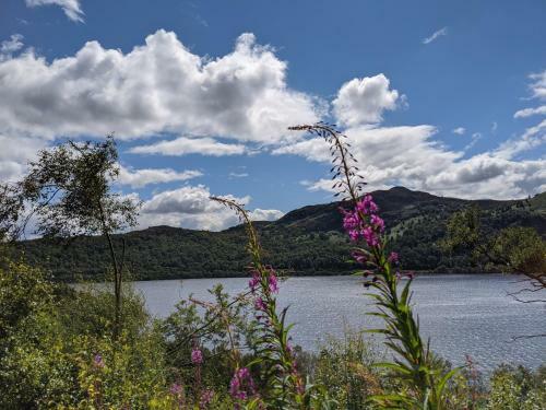 Thistle Cottage, Crannachcottages