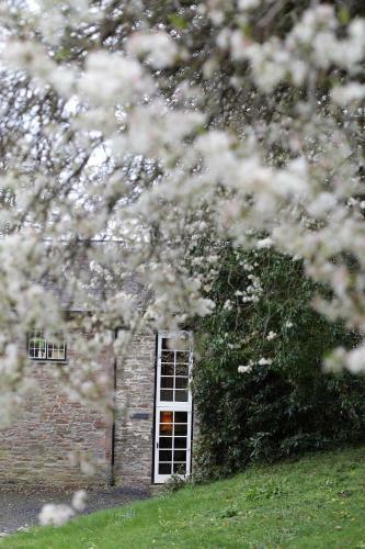 Glanhenwye Courtyard Cottages