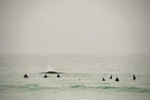 Posada Hermanus Surf School And Lodge