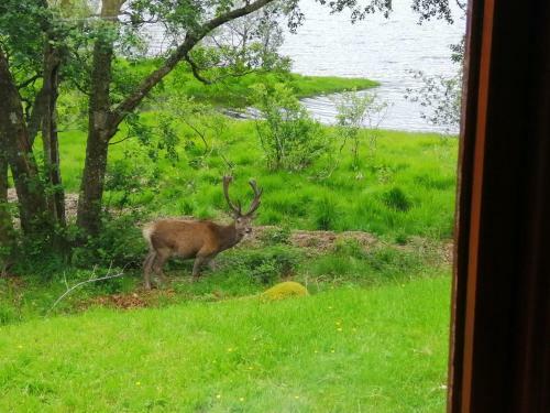 Glenfinnan Retreats, Oak Cabin