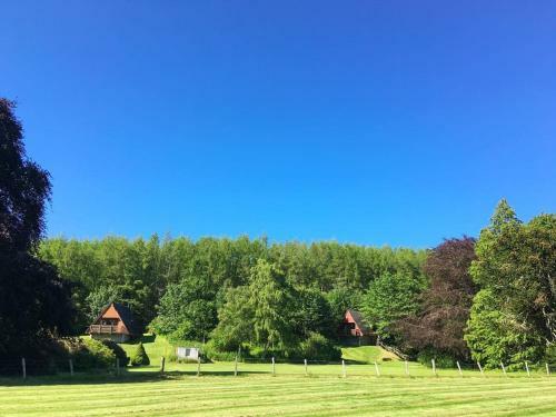 Pine Lodge - Uk7049