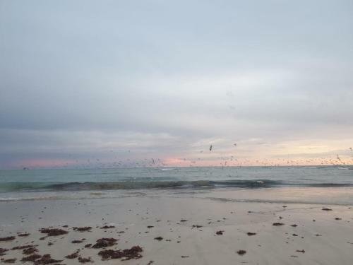 Apartamento The Sparrow's Nest Beach-front Self-catering