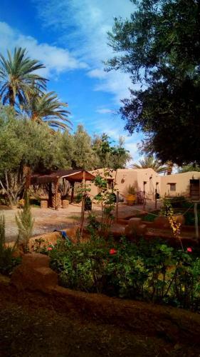 Eco-ferme Tamalait Skoura