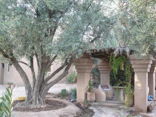 Bed & Breakfast Dar Lorkam