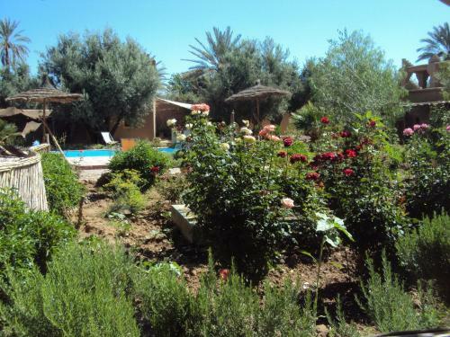 Bed & Breakfast Dar Lorkam