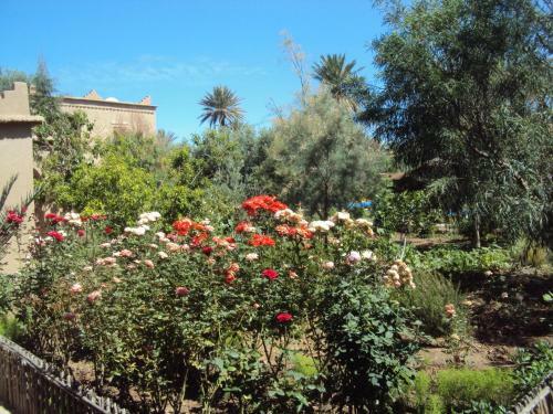 Bed & Breakfast Dar Lorkam