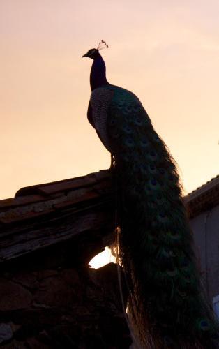 Bed & Breakfast Les Picardies
