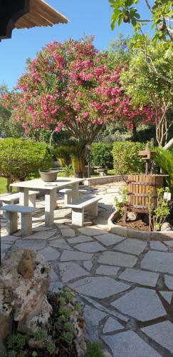 Bed & Breakfast Antico Casolare Sorso-casa Vacanze