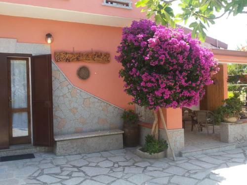 Bed & Breakfast Antico Casolare Sorso-casa Vacanze