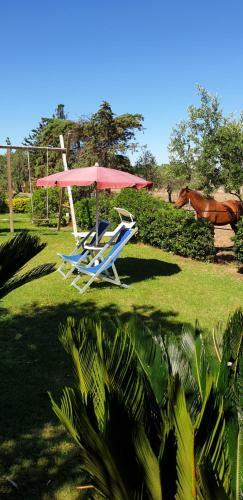 Bed & Breakfast Antico Casolare Sorso-casa Vacanze