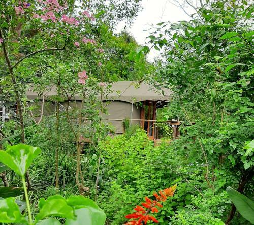 Lodge The Bird Hide