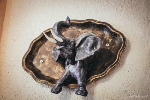 Hostal African Elephant's Den