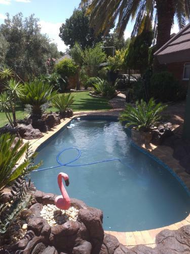 Hostal African Elephant's Den