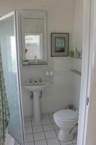Hostal Berry Lane Boutique Guesthouse