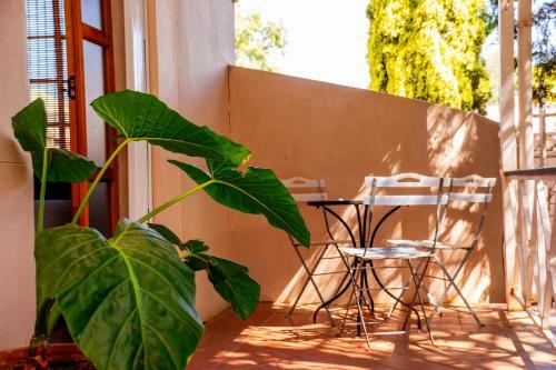 Hostal Silver Swan Accommodation