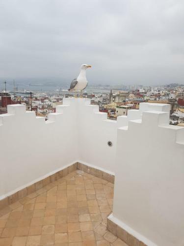 Maison M�dina, Terrasse Panoramique