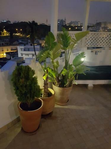 Maison M�dina, Terrasse Panoramique