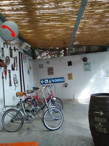 B&B Catedda
