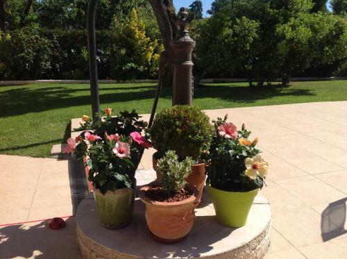 Bed & Breakfast Maison D'h�tes La Villa Corisande