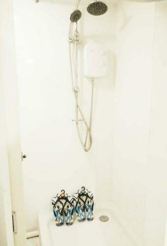 Hostal Swan Guest House (?????)